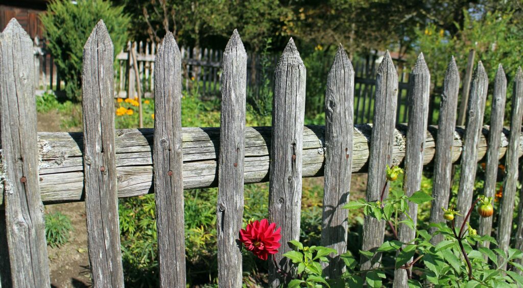 Old wooden fence still looks solid