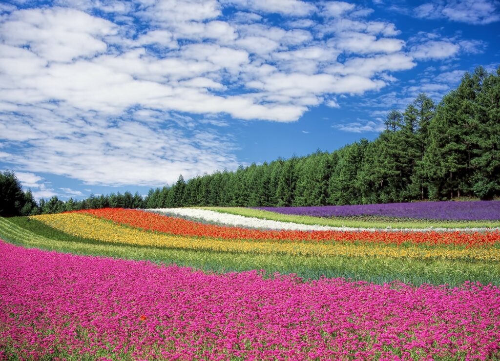 Beautiful and colorful views available to all that wants to go there